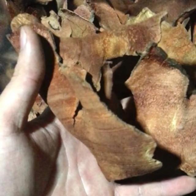 cây thổ phục linh đỏ đóng túi 1kg