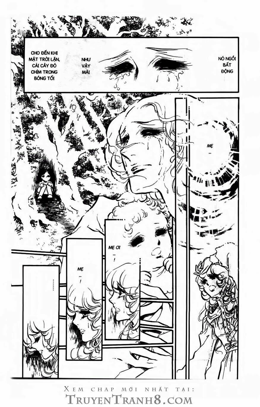 swan - vũ khúc thiên nga chapter 116 4