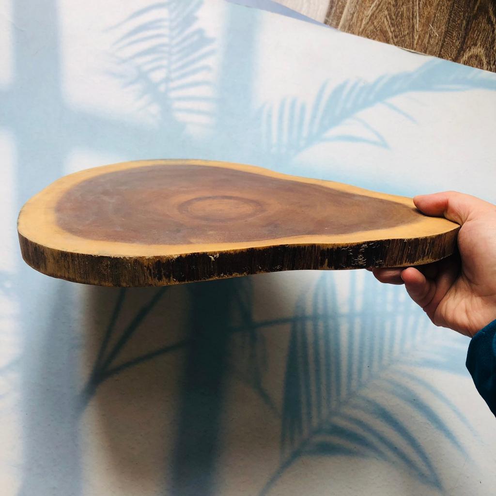 Thớt/Khoanh Gốc Cây Keo Tự Nhiên Cỡ 20-25cm, Khoanh Đựng Beefsteak, Decor Trang Trí