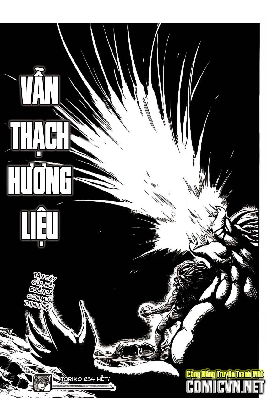 thợ săn ẩm thực chapter 254 20
