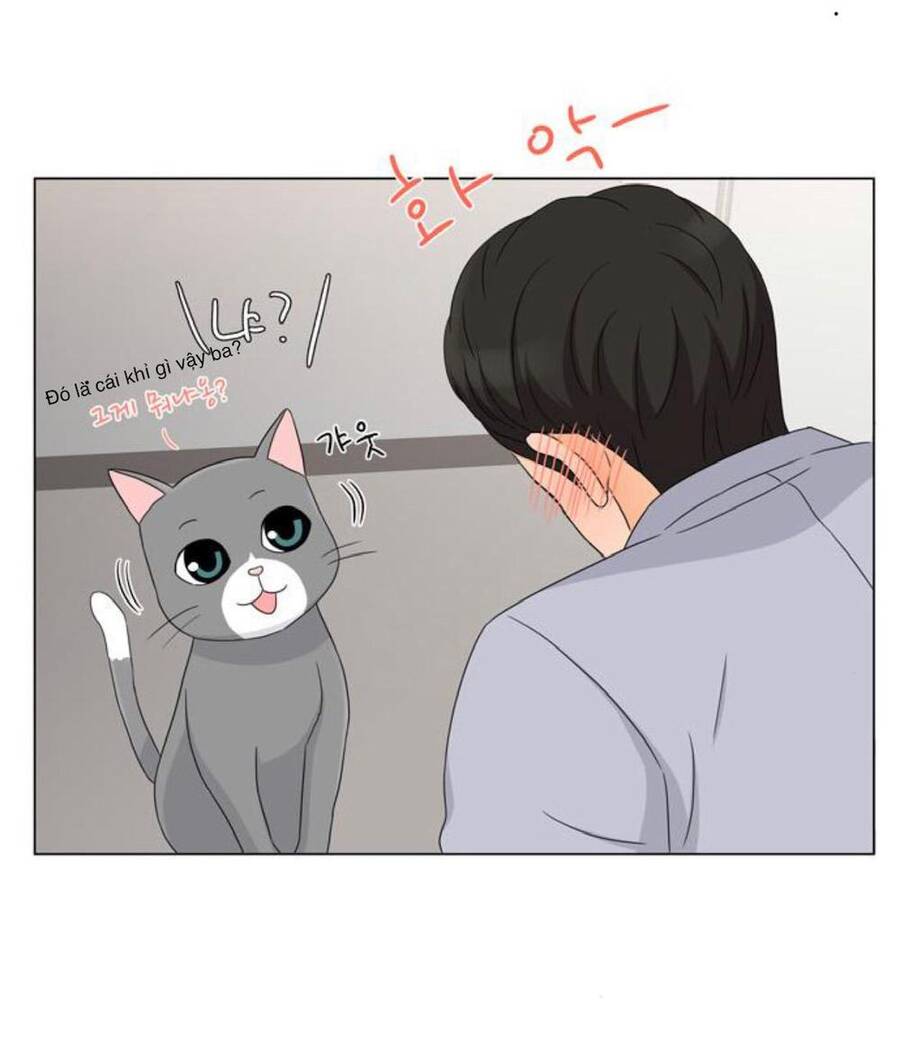 idol và sếp, em yêu ai? chapter 27 10