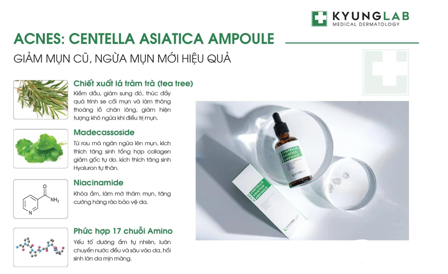 Serum trị mụn Kyung Lab Acnes Centella Asiatica Ampoule 50ml