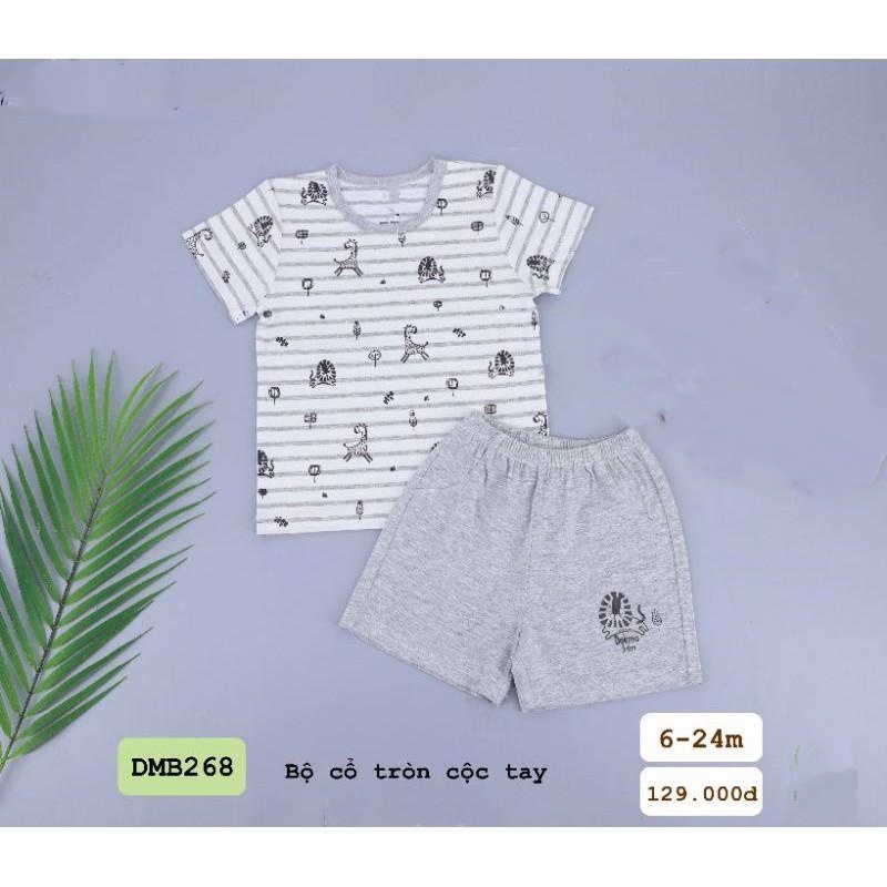 Bộ cổ tròn cộc tay DMB268