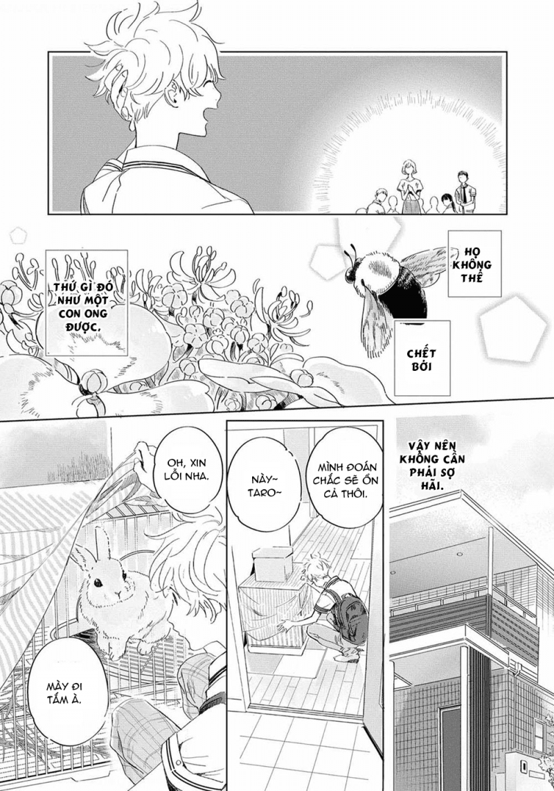 đất nước của những chú sư tử chapter 1 6