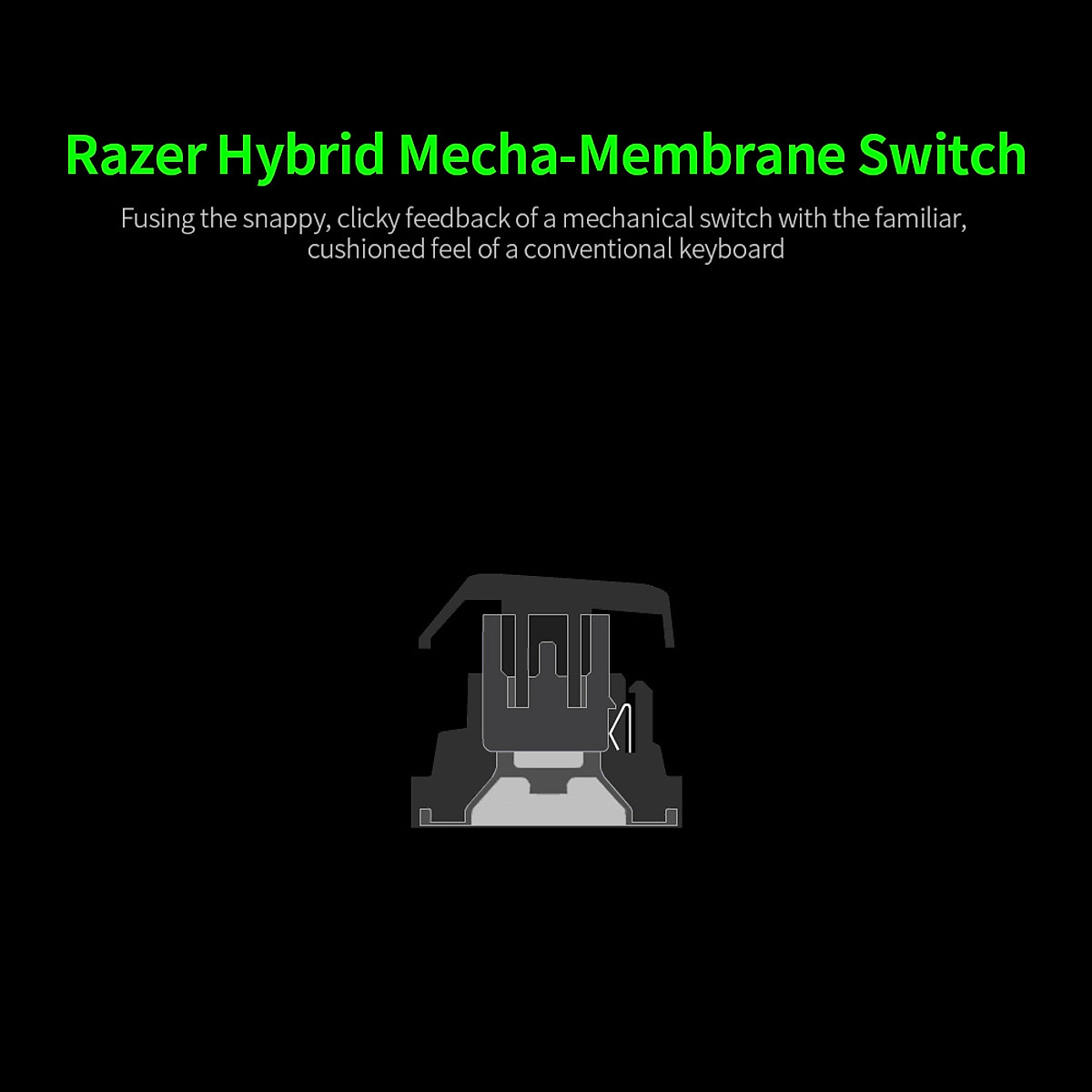 Bàn phím Razer Ornata V2-Mecha-Membrane Switch-US Layout_Hàng chính hãng