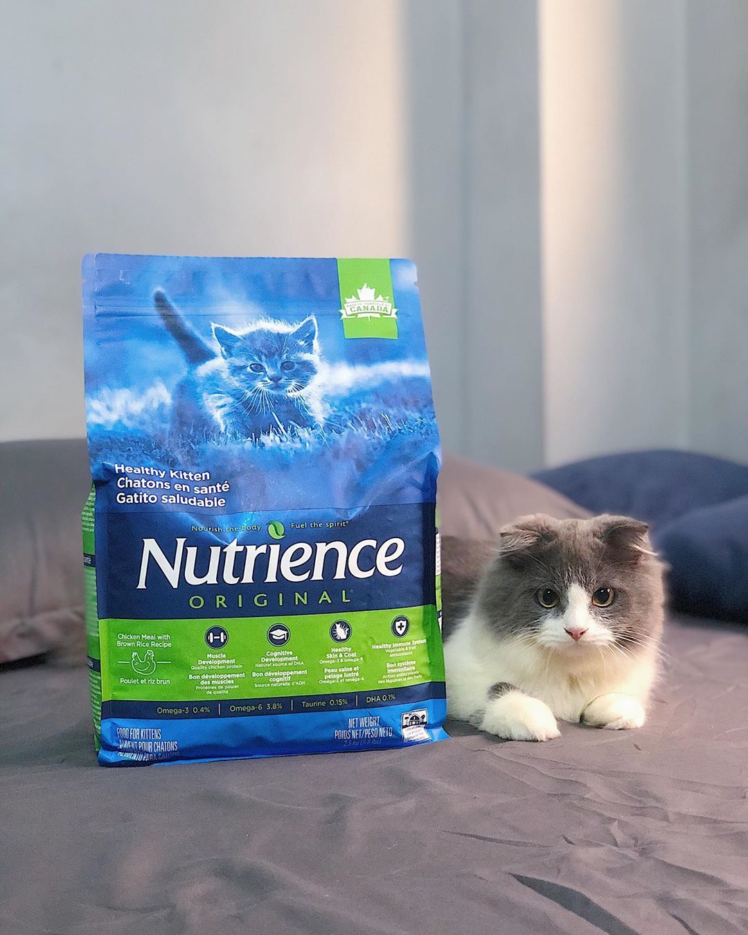 Thức Ăn Cho Mèo Tai Cụp, Nutrience Original Bao 2,5kg - Thức Ăn Cho Mèo, Thịt Gà, Dầu Cá Hồi, Rau Củ, Trái Cây Tự Nhiên