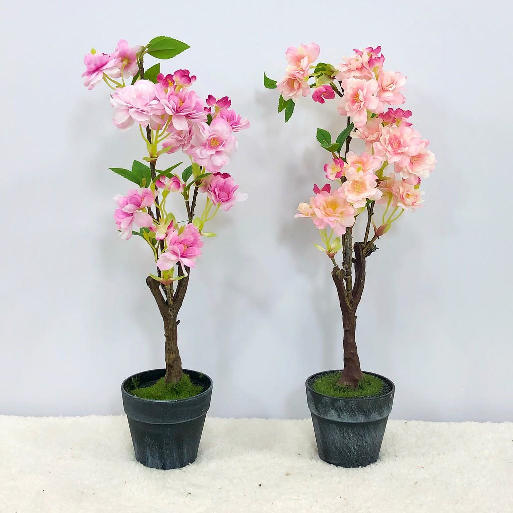 Hoa Giả Hoa Lụa - CHẬU HOA ĐÀO GIẢ CAO 40CM