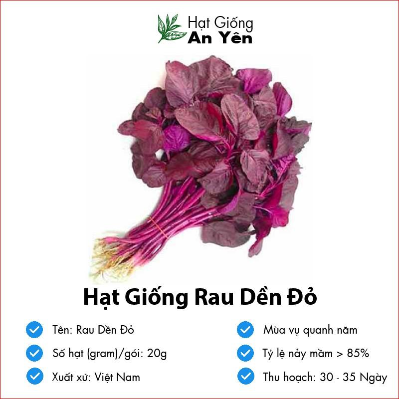 Hạt giống Rau Dền Đỏ thu hoạch sớm, dễ trồng, nảy mầm cao, sinh trưởng khoẻ