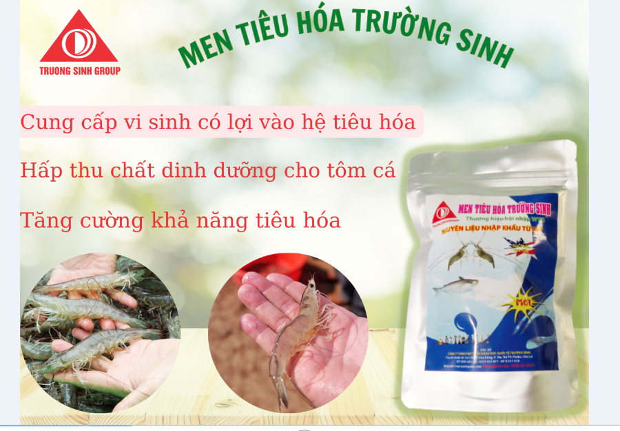 Kích thích tiêu hóa, Phòng chống bệnh đường ruột và xuất huyết  - Men Tiêu Hóa