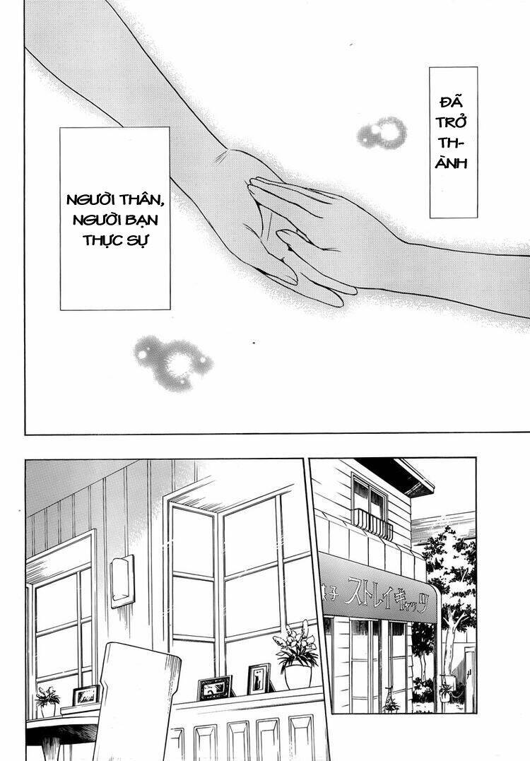 mayoi neko overrun! chapter 6 42