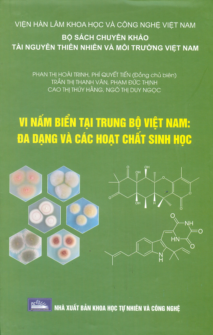 Các Mô Hình Kinh Tế Sinh Thái Cho Phát Triển Bền Vững Khu Vực Tây Nguyên (Bộ Sách Chuyên Khảo Tài Nguyên Thiên Nhiên Và Môi Trường Việt Nam) (Bìa Cứng)