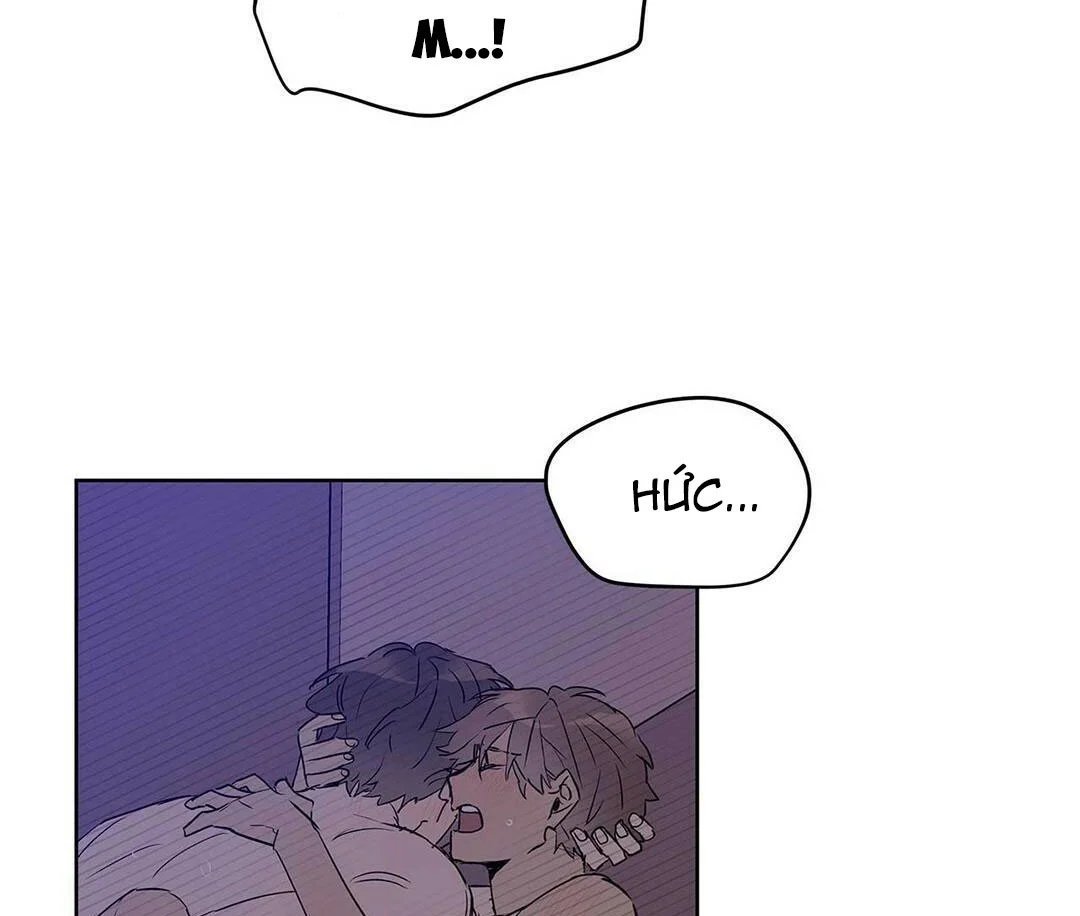 guide cấp b chapter 21 86