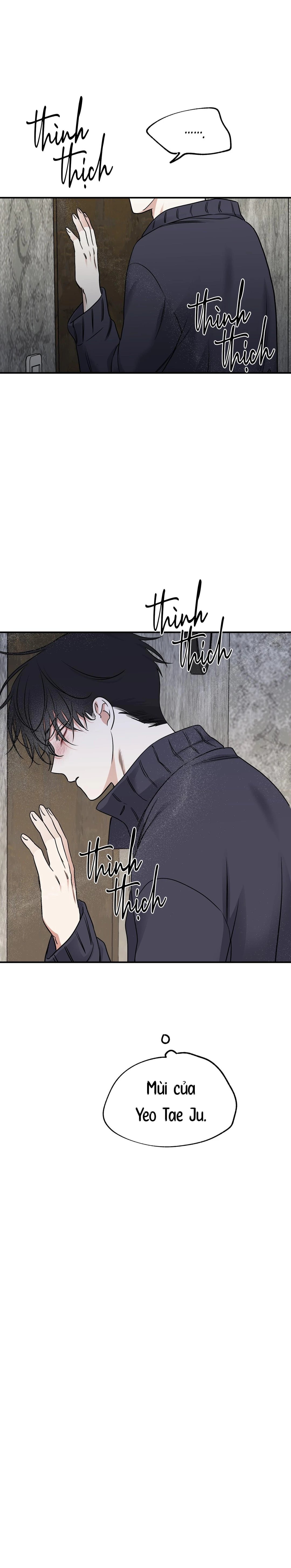 đêm bên bờ biển chapter 91 22