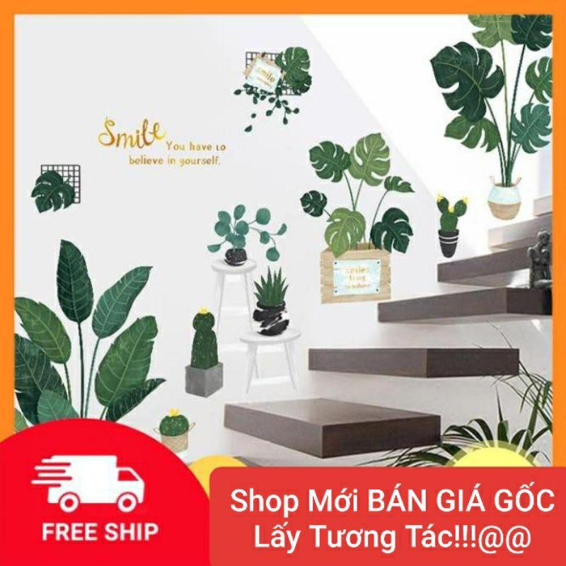 FREE SHIP TỪ 50KDecal dán tường - Tranh dán tường chậu cây cầu thang