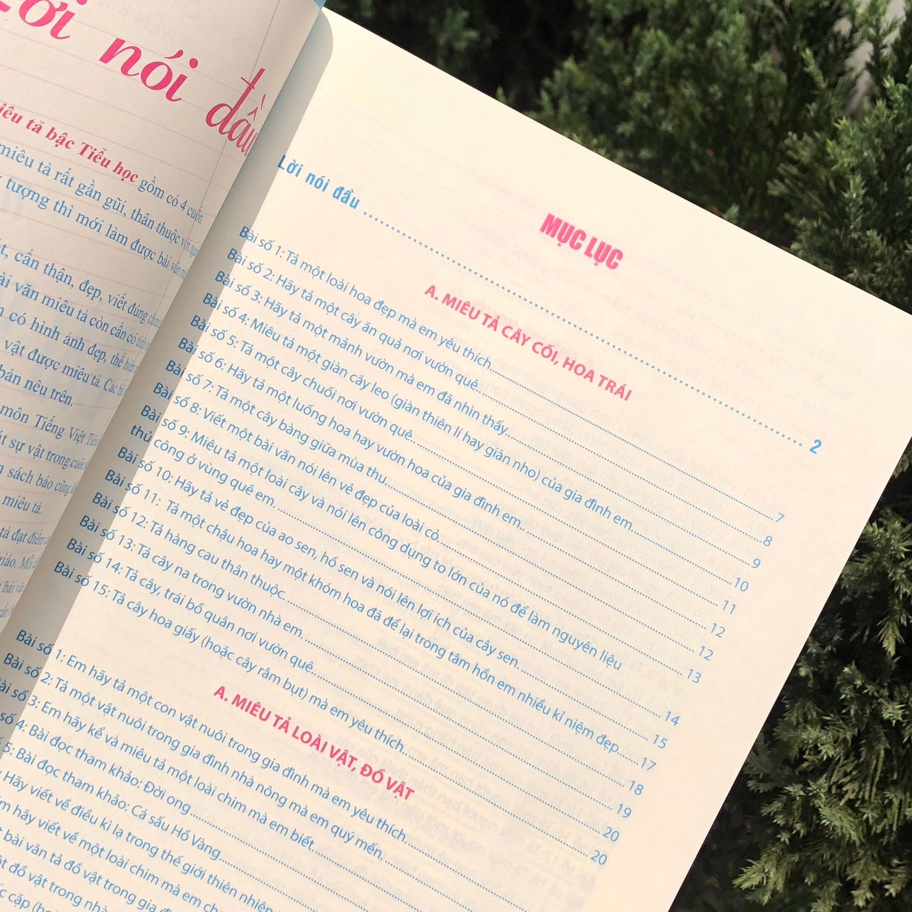 Sách: Combo Tuyển Chọn Những Bài Văn Miêu Tả Lớp 5 + Phiếu Ôn Tập Cuối Tuần Tiếng Việt Lớp 5