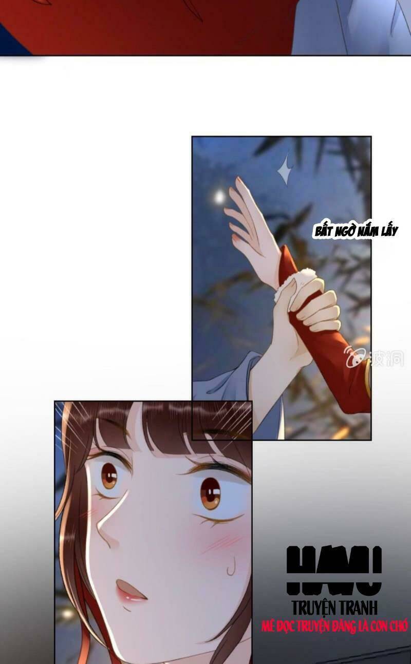sủng phi của vương chapter 145 14