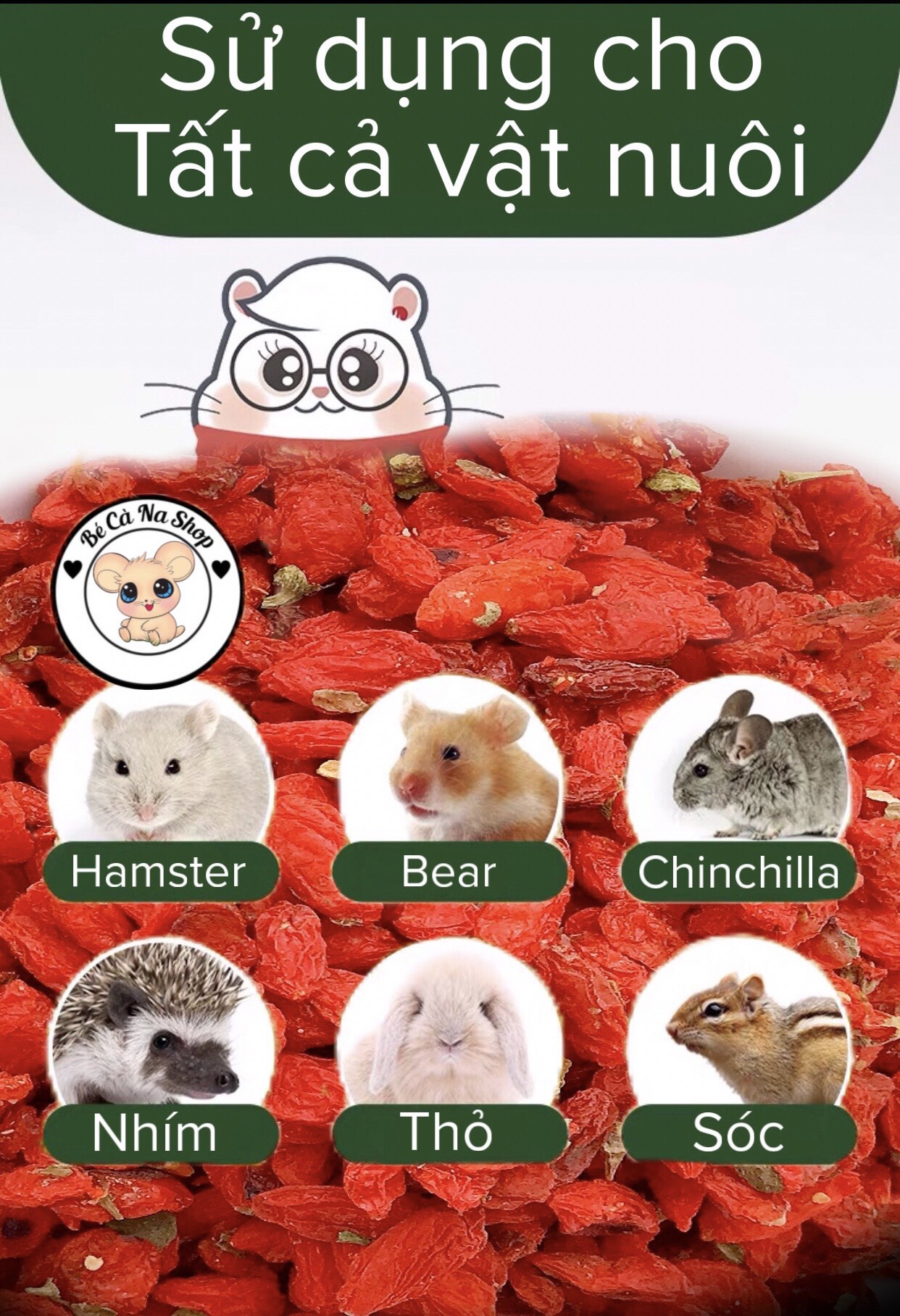 Hạt kỷ tử sấy khô cho hamster rất bổ máu huyết