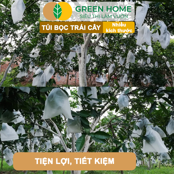 10 Túi Bọc Hoa Quả GreenHome, Ổi Bưởi Xoài Na Mướp (Có Nút Cài), Sử Dụng 3-5 Năm, Nhiều Kích Thước