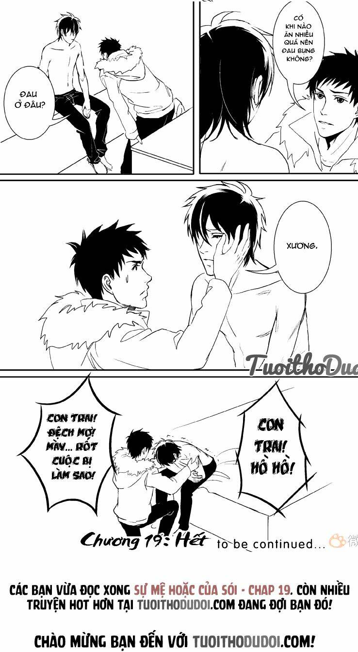 sự mê hoặc của sói chapter 19 14