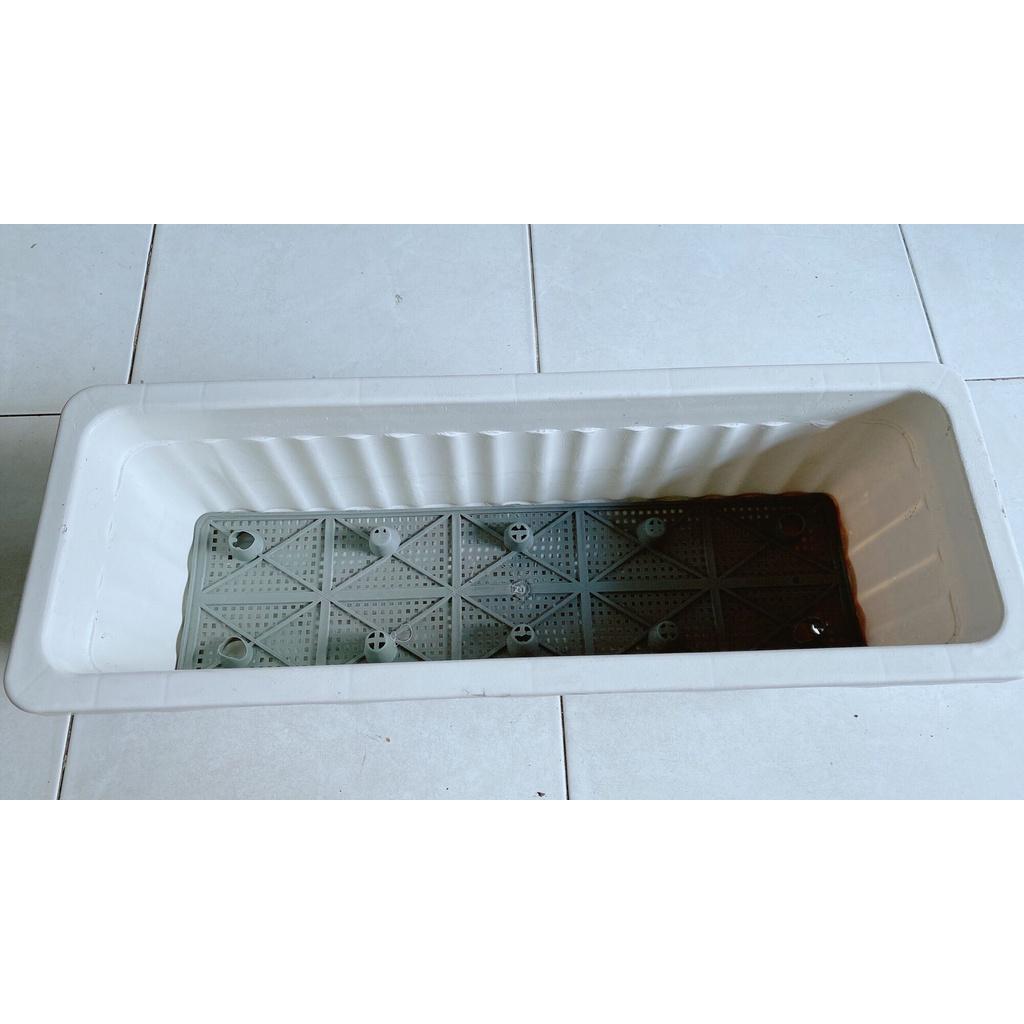 Chậu Trồng Cây Chữ Nhật 60cm