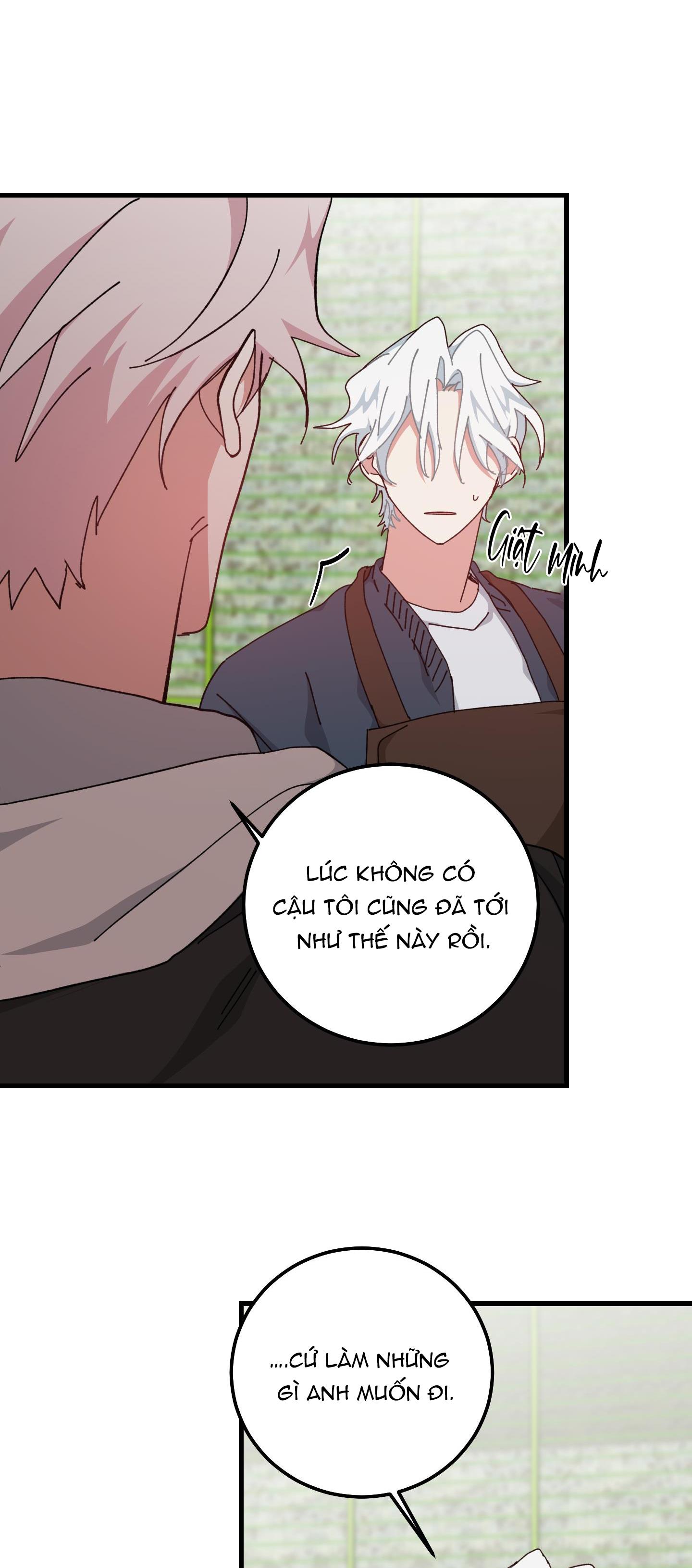 yêu tôi đi, thần hộ mệnh chapter 41 10