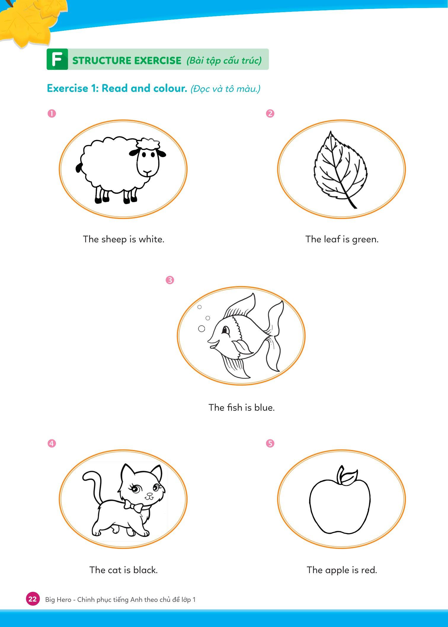 Big Hero - Chinh Phục Tiếng Anh Theo Chủ Đề Lớp 1