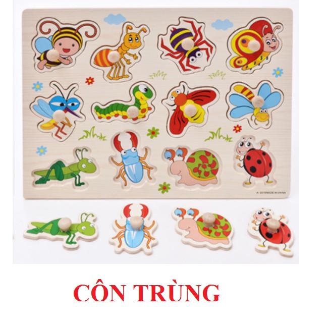 Đồ chơi bảng ghép gỗ có núm to 20x30 cm - Chủ đề côn trùng