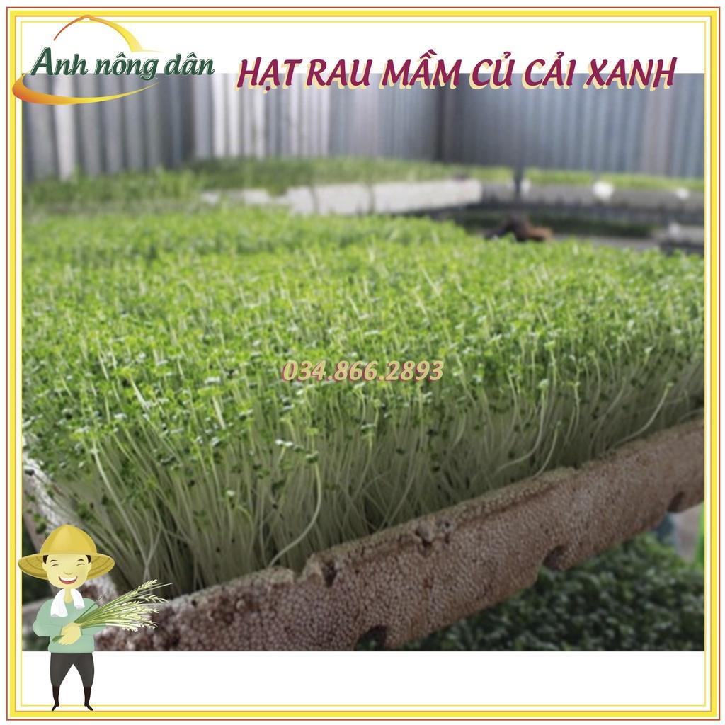 Gói 1kg Hạt rau mầm rau Củ cải Trắng - nảy mầm đều, 7 ngày thu hoạch