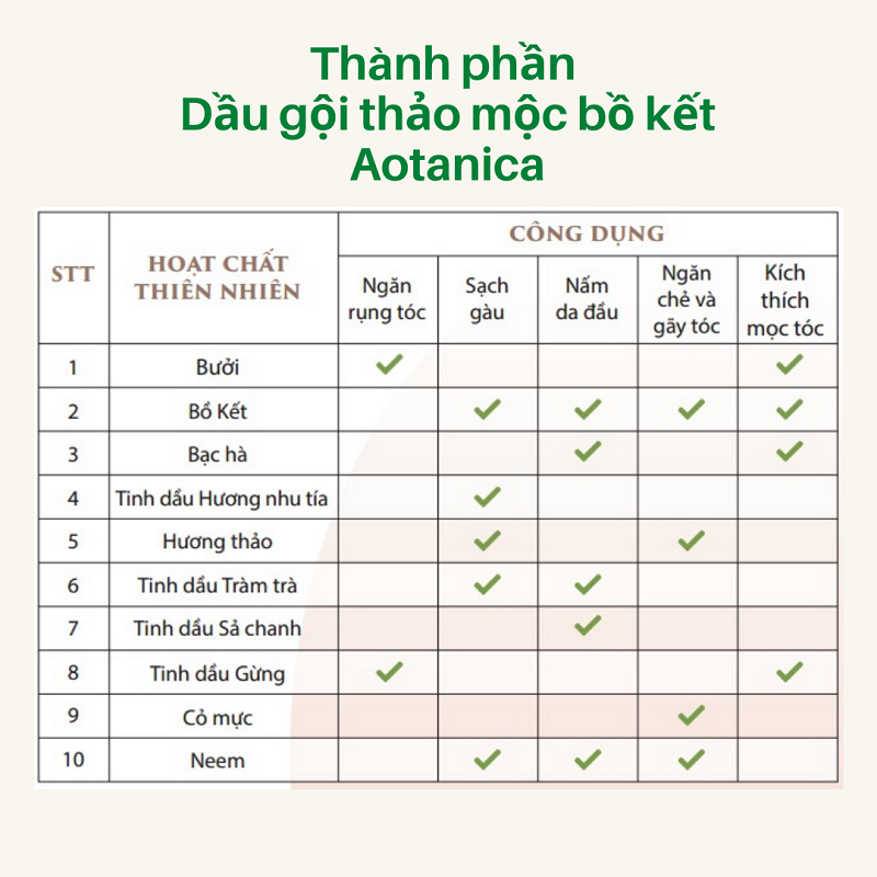 Dầu gội thảo mộc bồ kết Aotanica 300ml