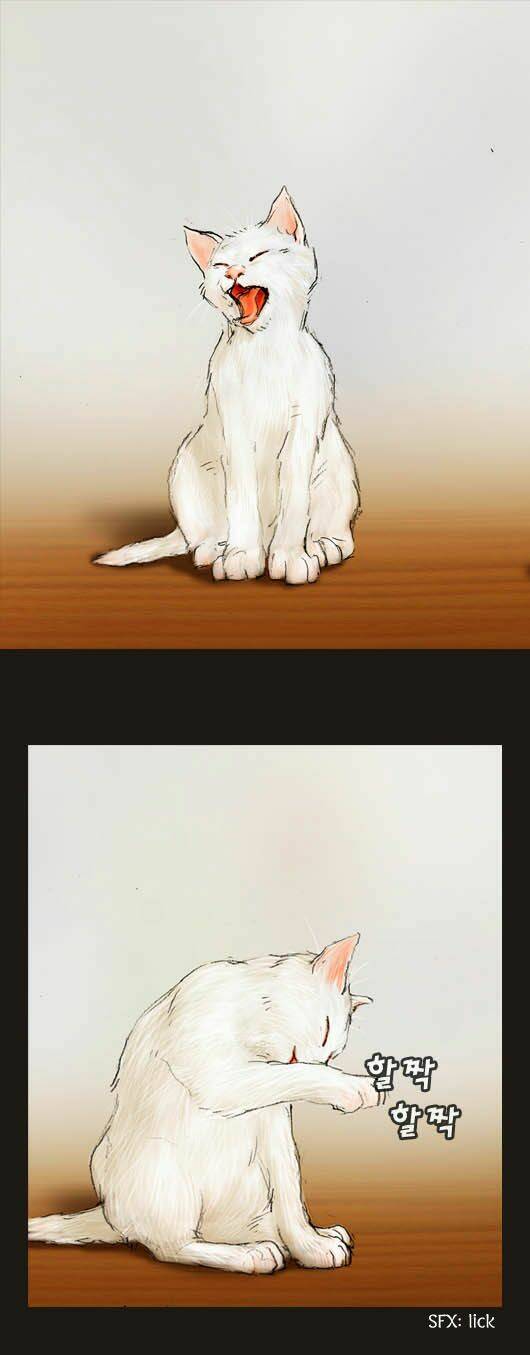 hội ảo thuật chapter 20 1