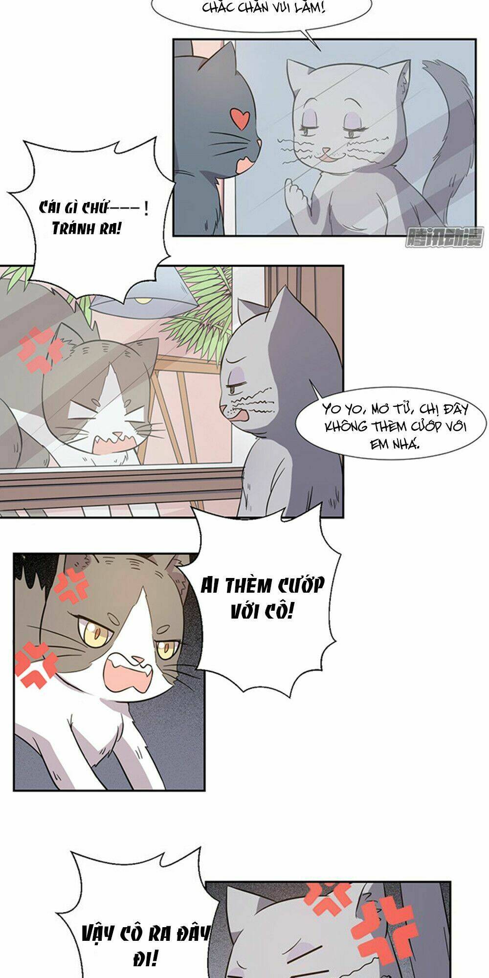 hai chú mèo totem chapter 26 8