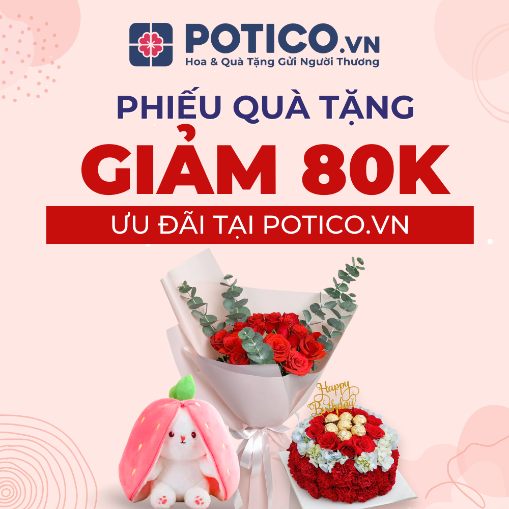 Potico.vn  - Ưu đãi 80K cho đơn hàng trên 300K