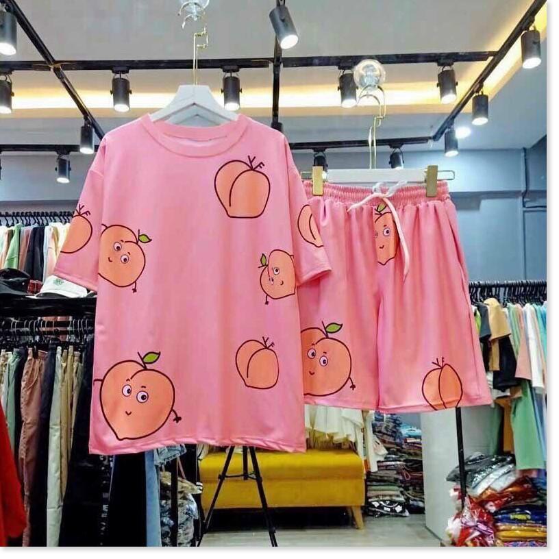 SET BỘ TRÁI BƠ CUTE