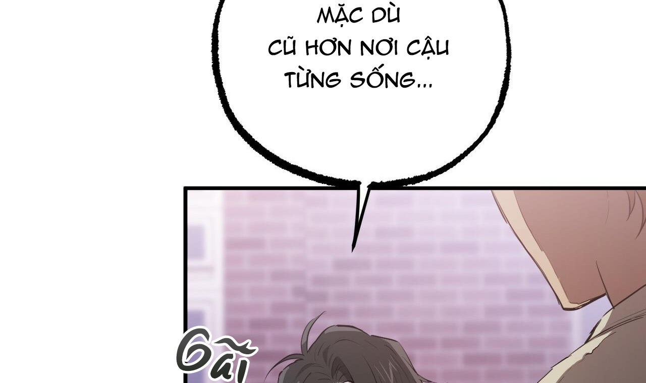 đàn thỏ của habibi chapter 37 214