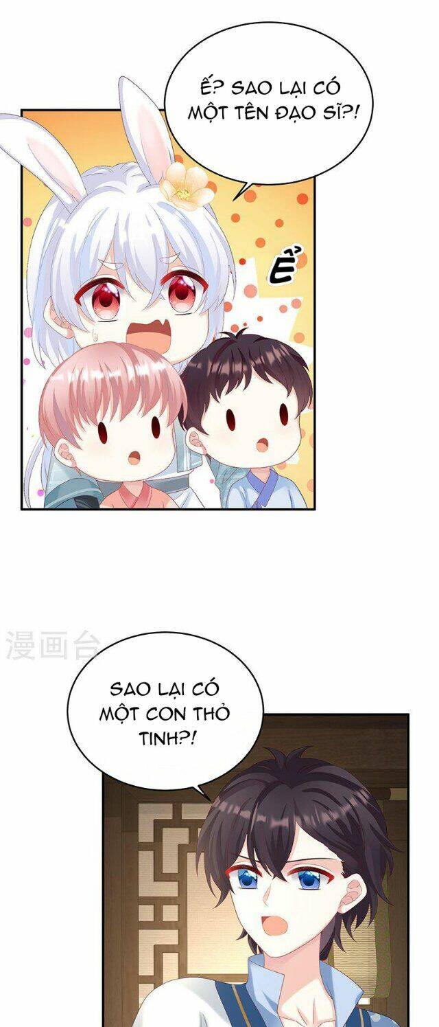 kiều phu có hỉ chapter 68 33