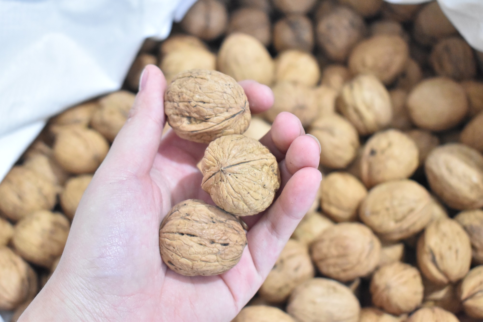 Quả Óc Chó Smile Nuts túi canvas 425g - Kèm dụng cụ tách vỏ