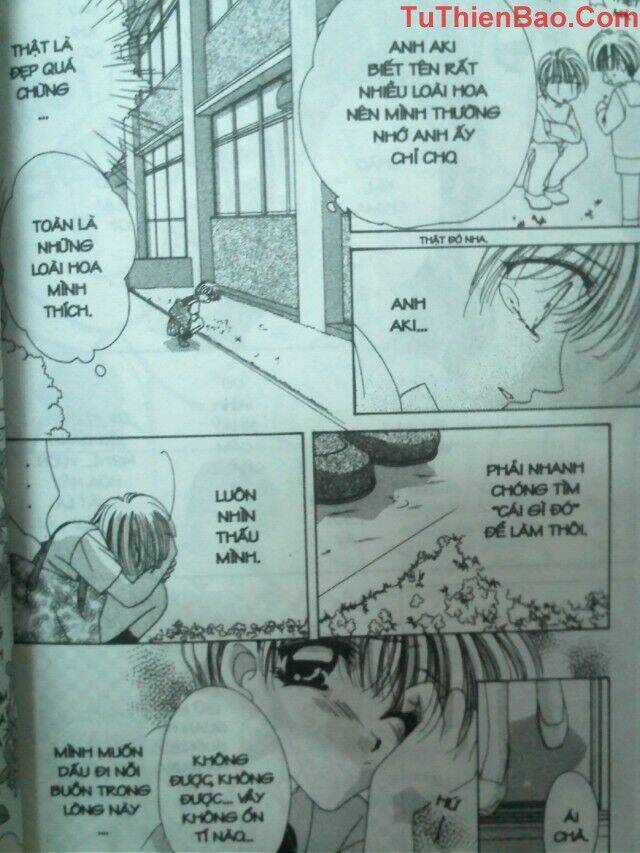 nguyện ước dưới ánh sao chapter 2 57