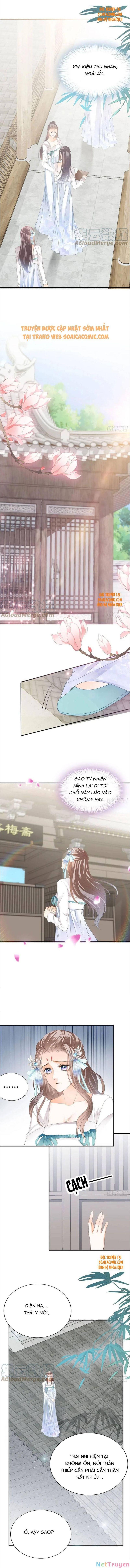 bổn vương muốn nàng chapter 100 3