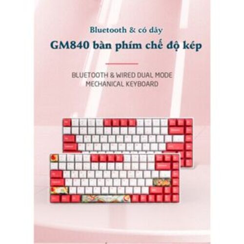 Bàn phím cơ không dây Newmen GM840 Hot Swap Outemu Switch (Blue/ Brown/ Red/ Purple) - Hàng chính hãng