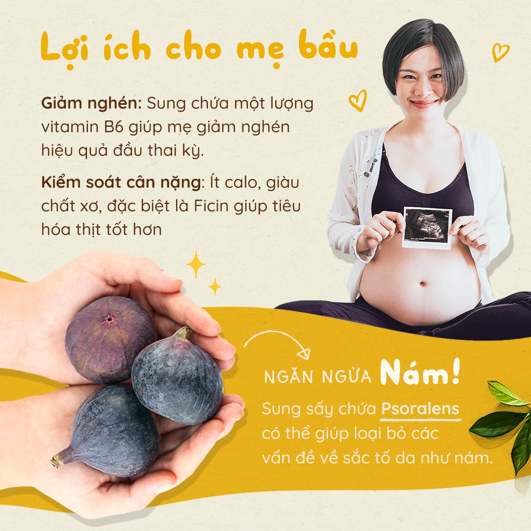 Quả sung Mỹ sấy khô tự nhiên Taylor 190g, không chất bảo quản, không đường | Nhà Đậu | 210