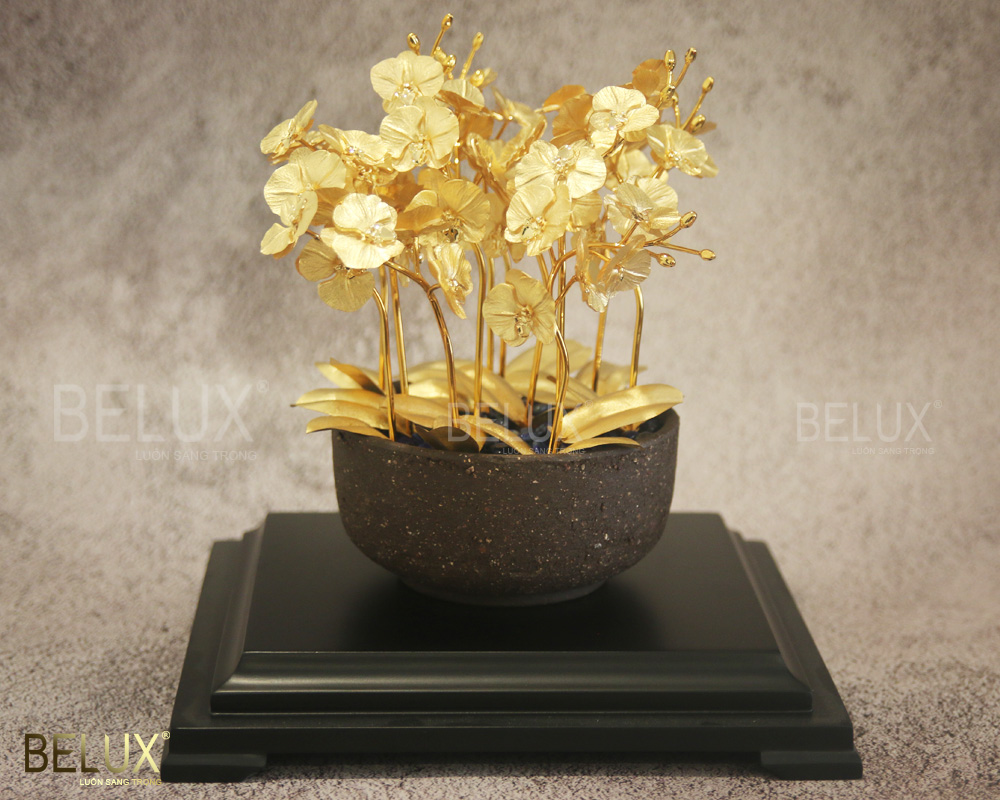Chậu lan hồ điệp 12 cành dát vàng 24K