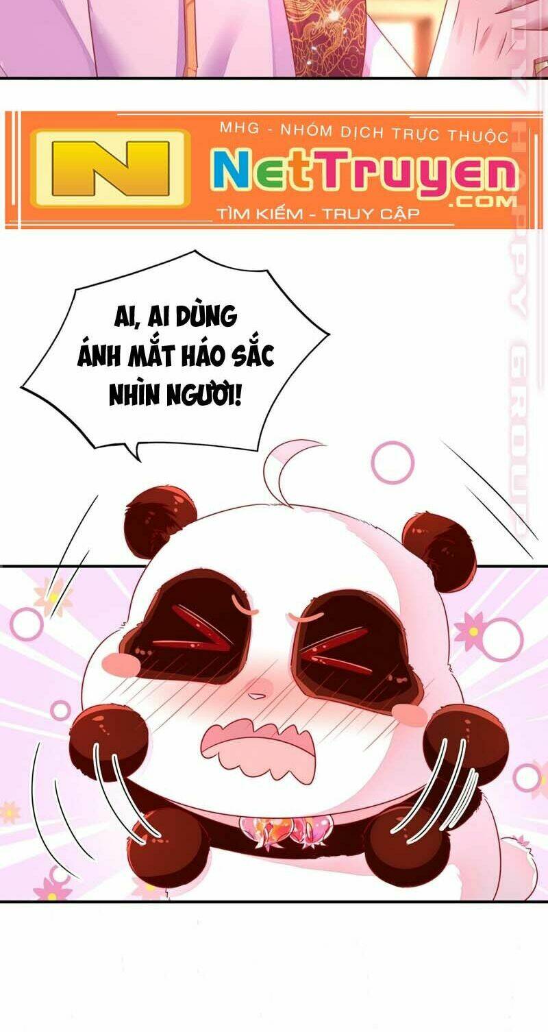 thiên thần gấu trúc muốn được ôm chapter 61 12