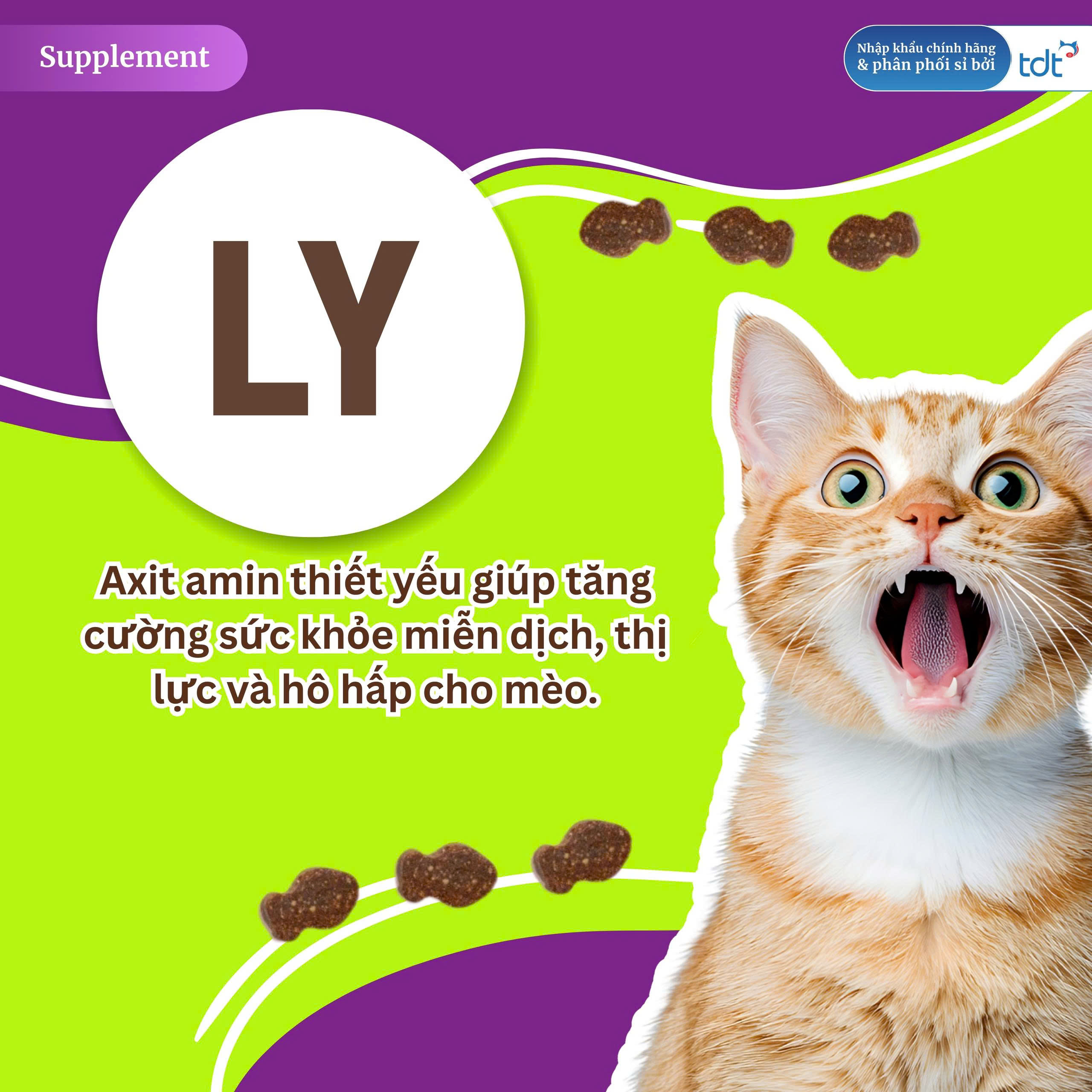 PET NATRALS VIÊN NHAI BỔ SUNG LYSINE CHO MÈO - L-LYSINE HỖ TRỢ SỨC KHỎE & CHỨC NĂNG MIỄN DỊCH túi 60 viên