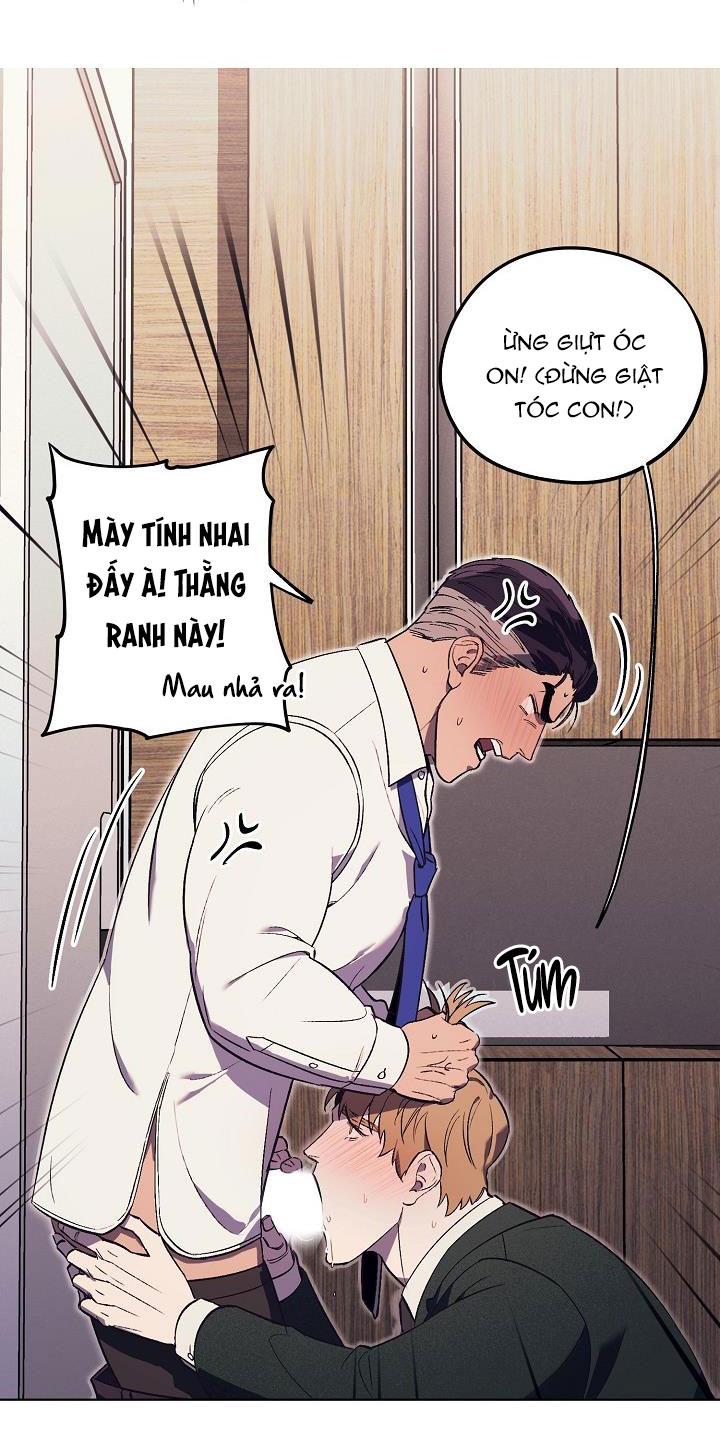 làm dâu nhà tài phiệt họ kang chapter 16 12