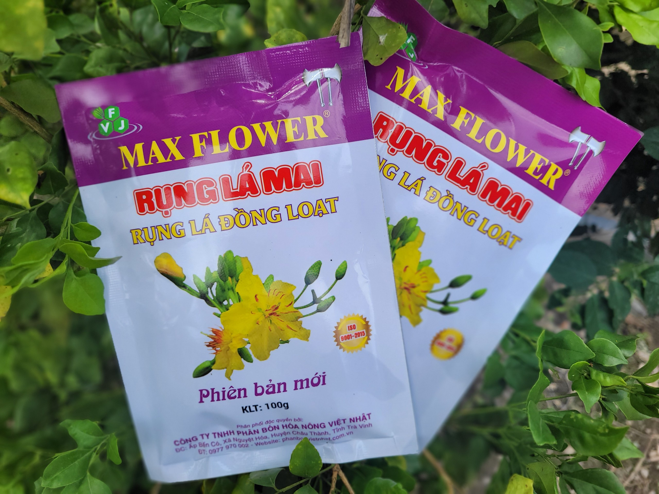 Phân bón MAX FLOWER RỤNG LÁ MAI giúp rụng lá đồng loạt, không hại cây, giảm công lặt lá gói 100 gram