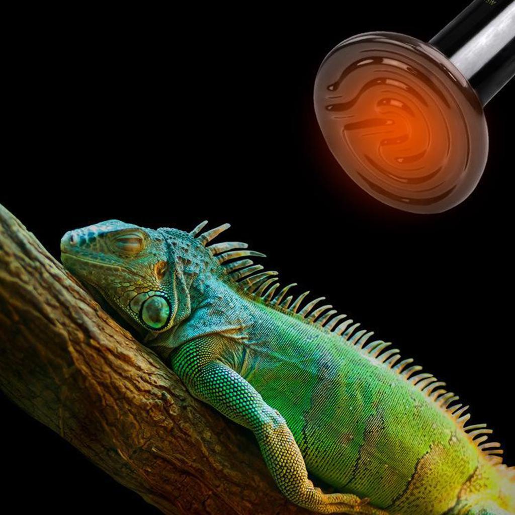 E27 Reptile Heating Lamp Bulb 25-200W Ceramic Heater