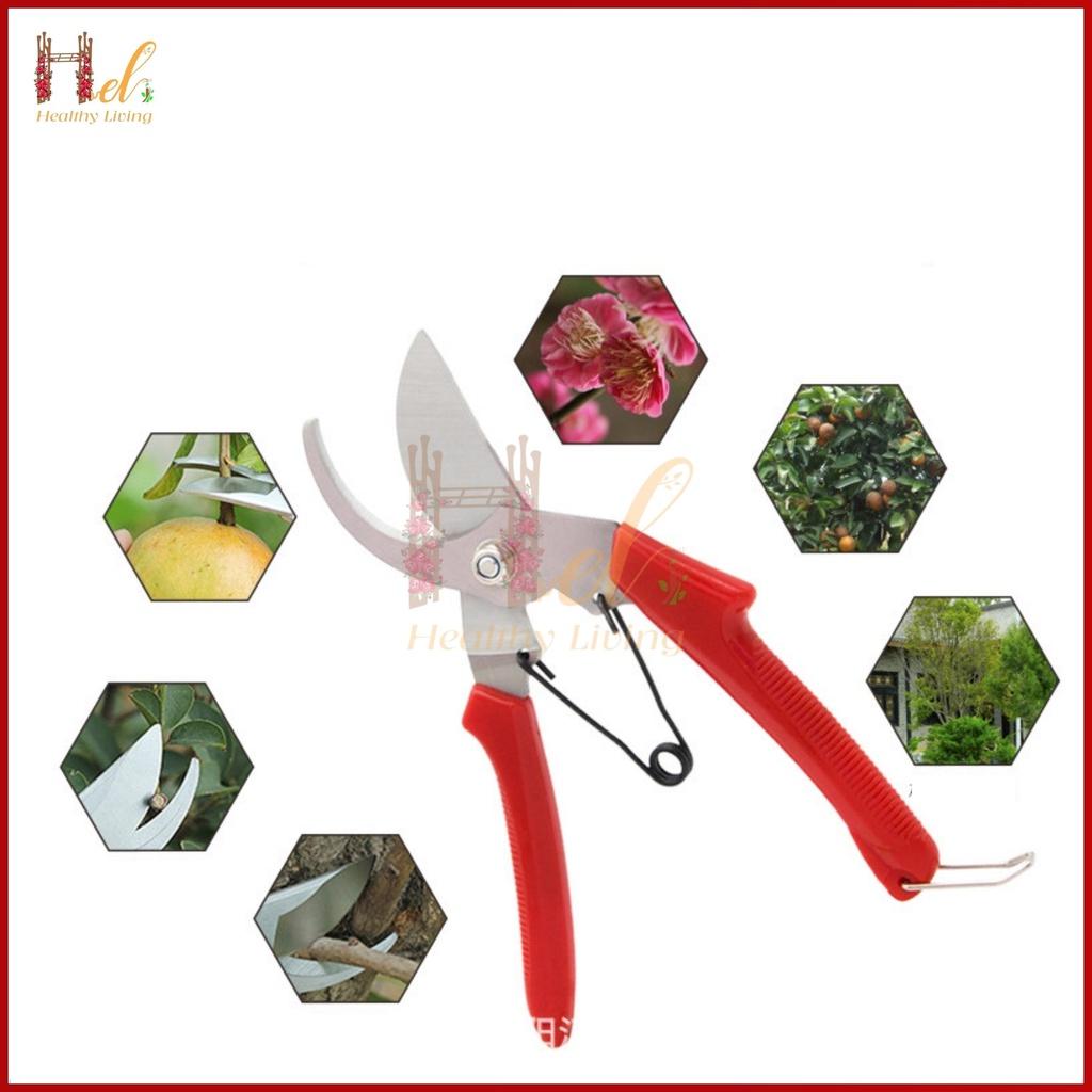 Kéo Cắt Tỉa Cành Cây, Kìm Tỉa Cây , Kéo Cộng Lực Cắt Cành SK-1 Nhập Khẩu, Kéo Cắt Tỉa Bonsai