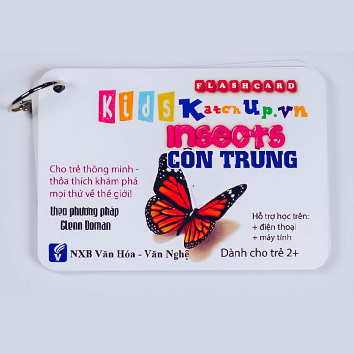 Bộ KatchUp Flashcard cho bé Tiếng Anh – Côn trùng – High Quality