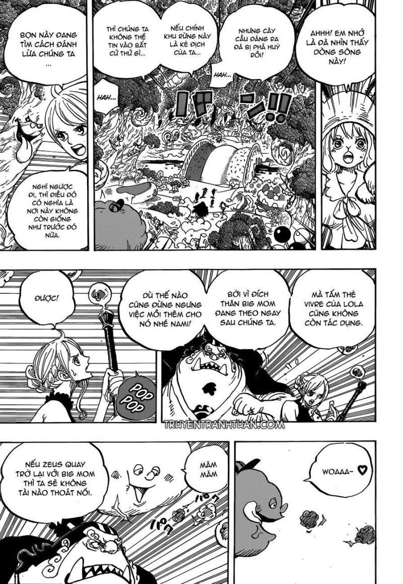 đảo hải tặc - one piece chapter 875 5