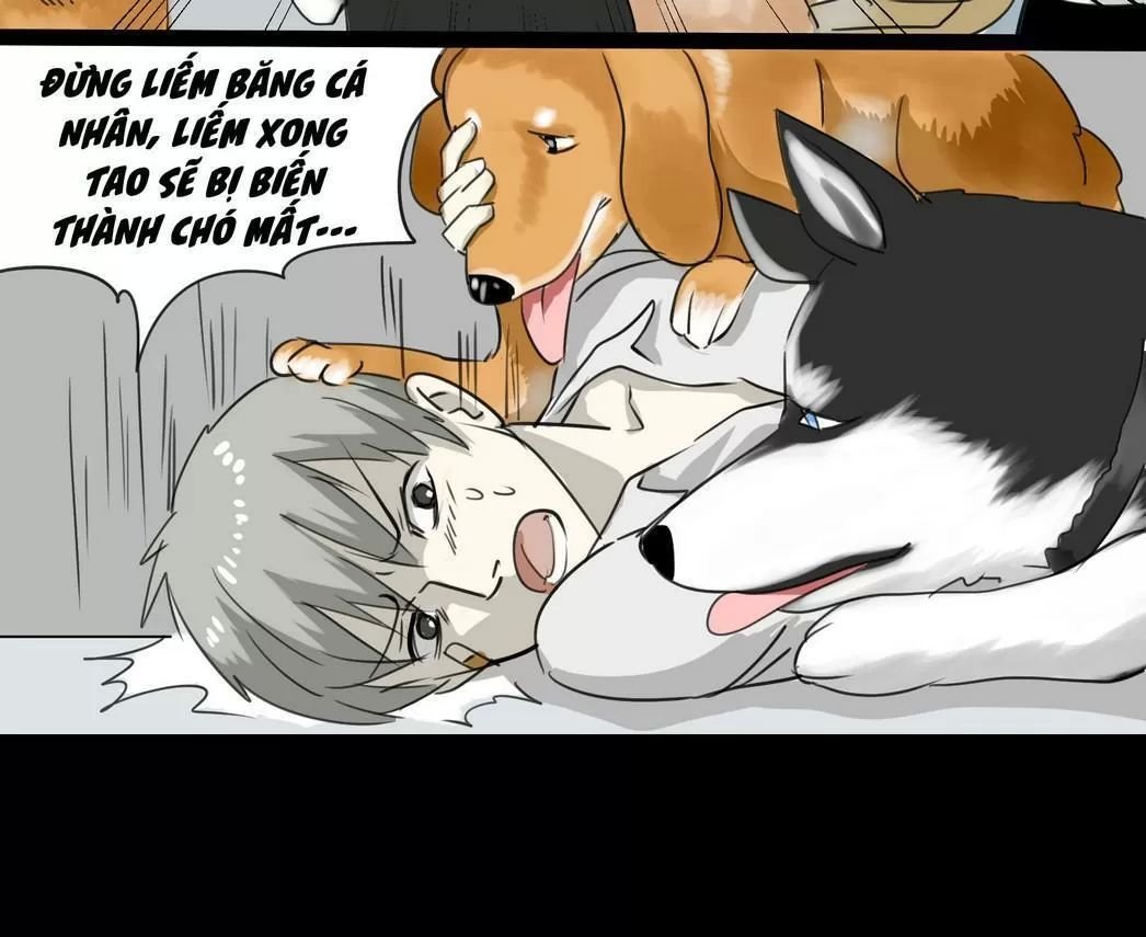 một con chó chapter 56 5